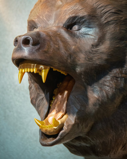 Hand-Carved Roaring Bear Head Gizz