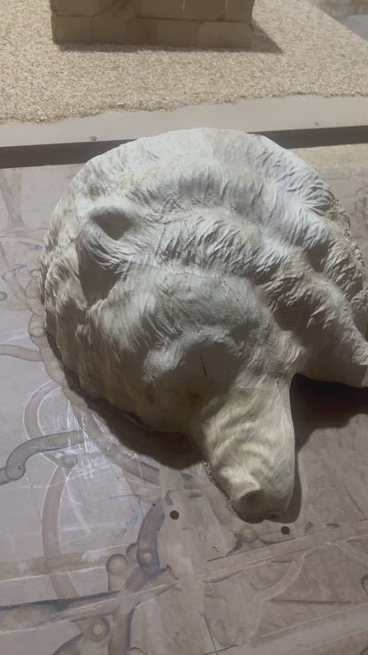 Hand-Carved Roaring Bear Head