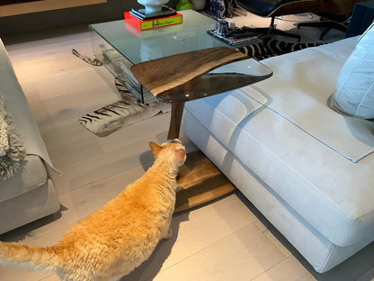 a yellow cat touching to a perfect designed c shaped end table.